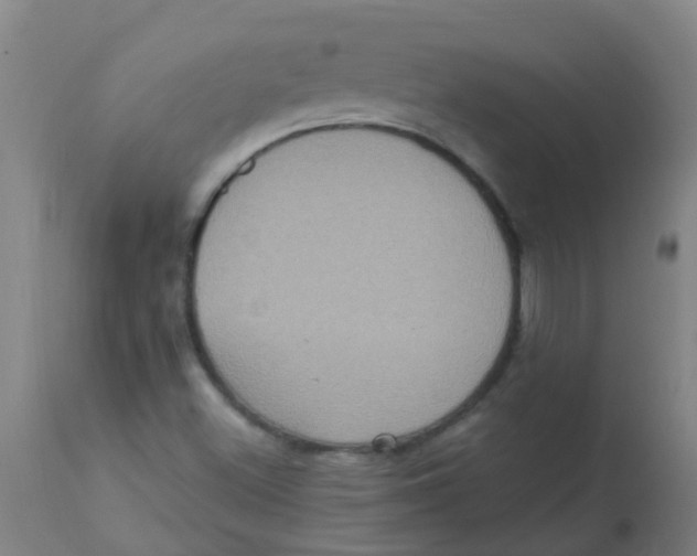 X0000113231500200910081353