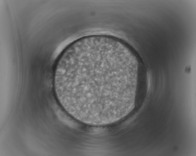 X0000113231501200910081353