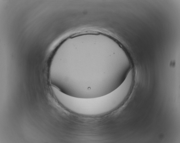 X0000113231502200910081353