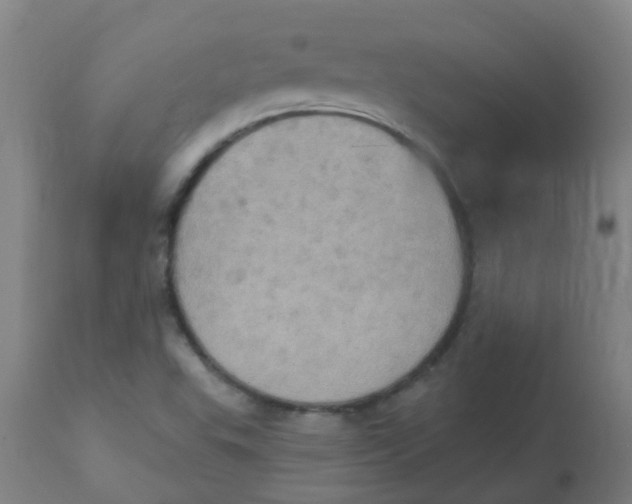 X0000113231503200910081353