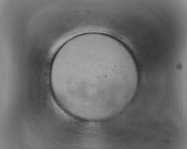 X0000113231504200910081353