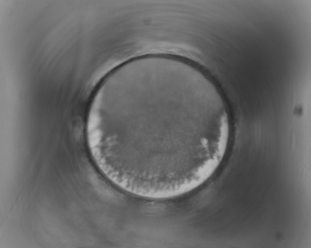 X0000113231505200910081353