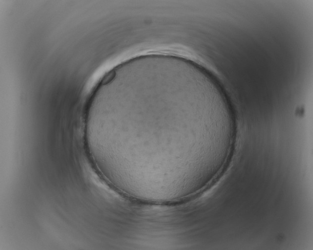 X0000113231506200910081353