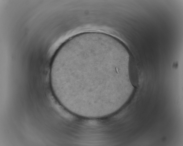 X0000113231507200910081353