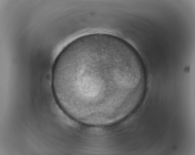 X0000113231508200910081353