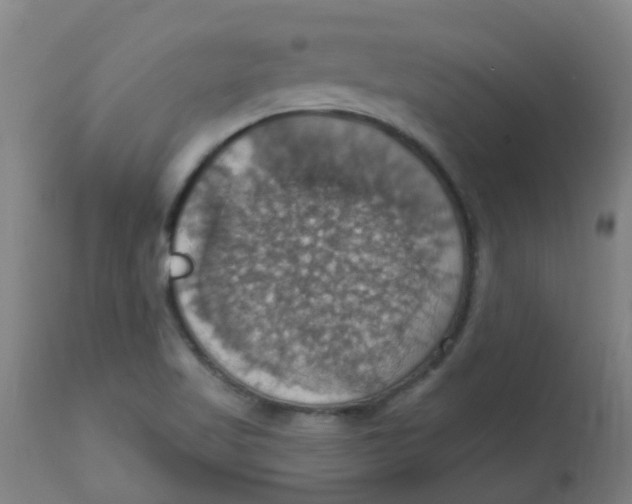 X0000113231509200910081353