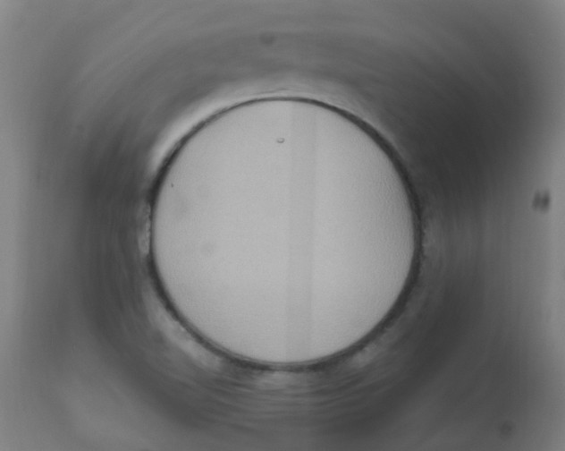 X0000113231510200910081353