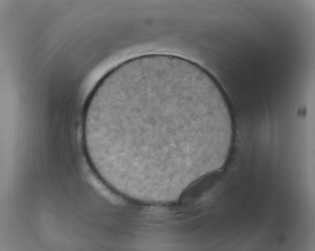 X0000113231511200910081353