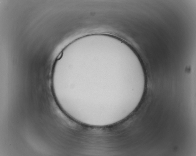 X0000113231512200910081353