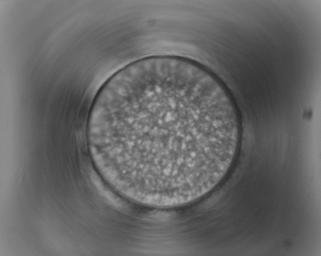 X0000113231513200910081353