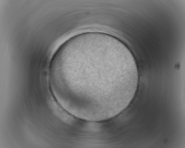 X0000113231514200910081353