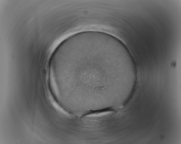 X0000113231515200910081353