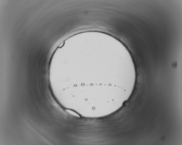 X0000113231516200910081353