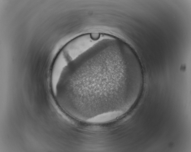 X0000113231517200910081353