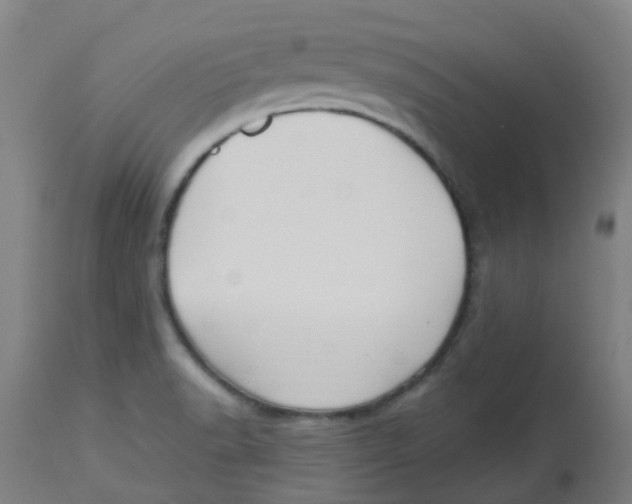 X0000113231518200910081353