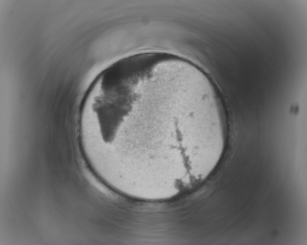 X0000113231519200910081353