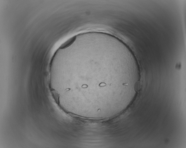 X0000113231520200910081353