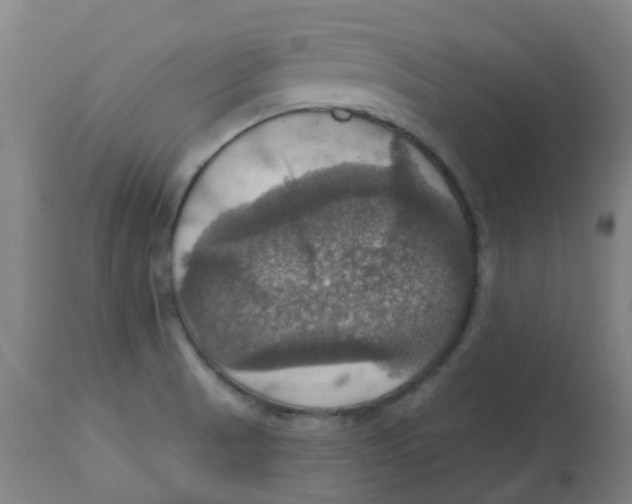 X0000113231521200910081353