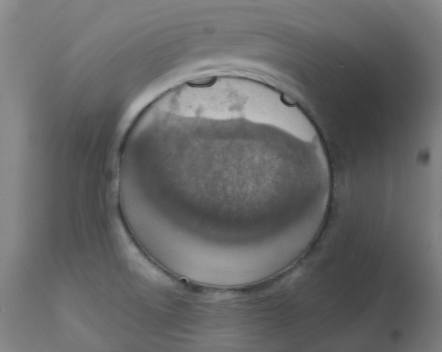 X0000113231522200910081353