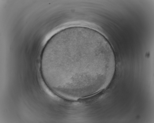 X0000113231523200910081353