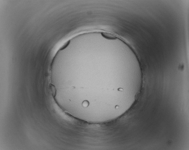 X0000113231524200910081353