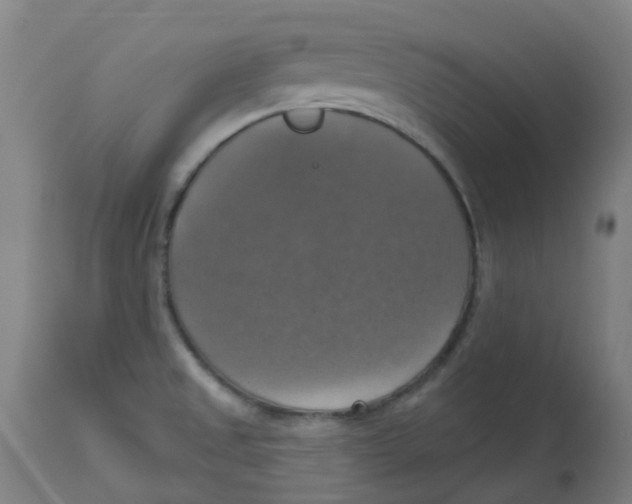 X0000113231525200910081353