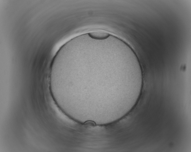 X0000113231526200910081353