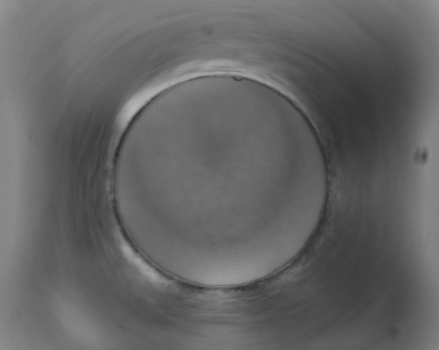 X0000113231527200910081353