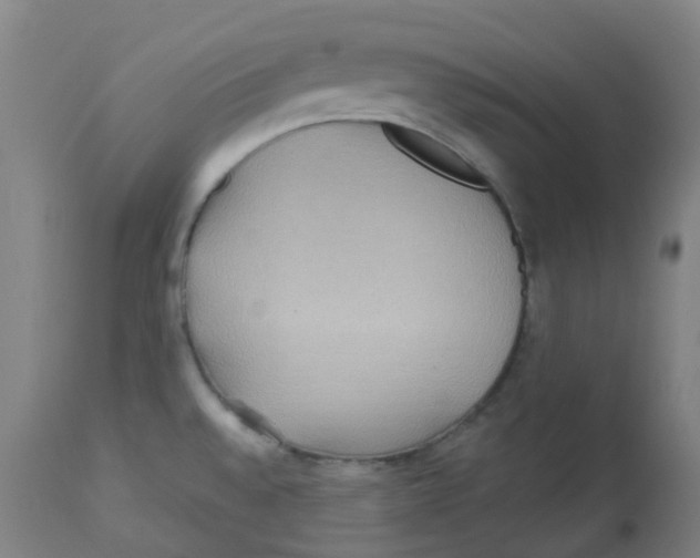 X0000113231528200910081353