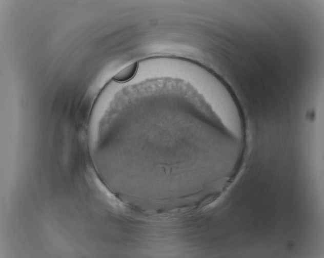 X0000113231529200910081353