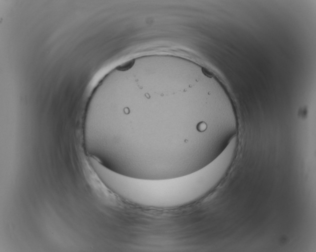 X0000113231530200910081353