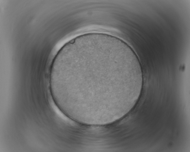 X0000113231531200910081353