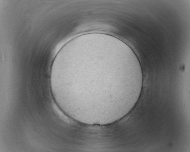 X0000113231532200910081353