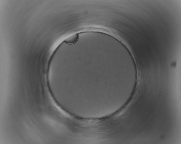 X0000113231533200910081353