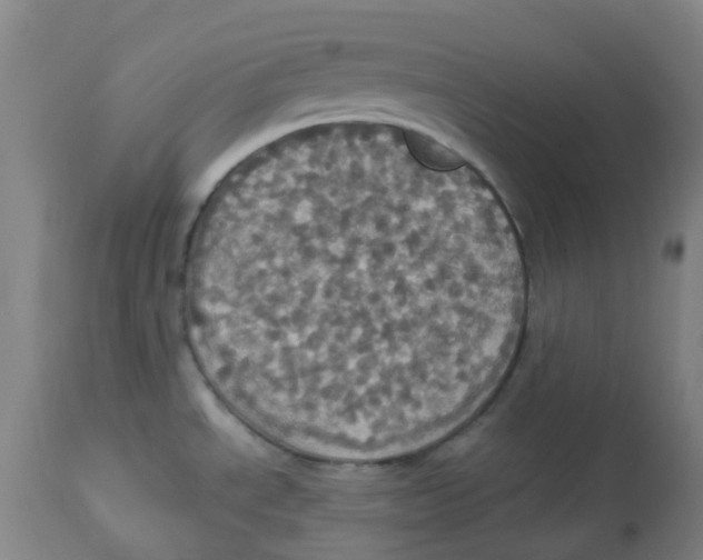 X0000113231534200910081353