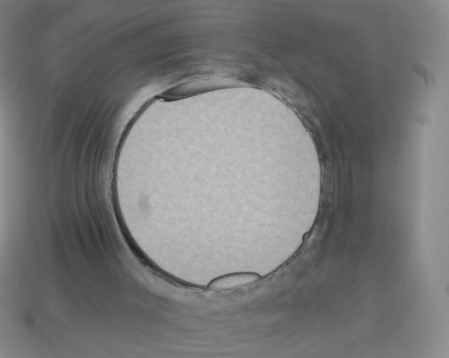 X0000113230003200910221049