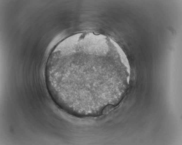 X0000113230004200910221049