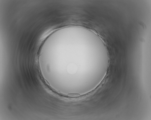 X0000113230005200910221049