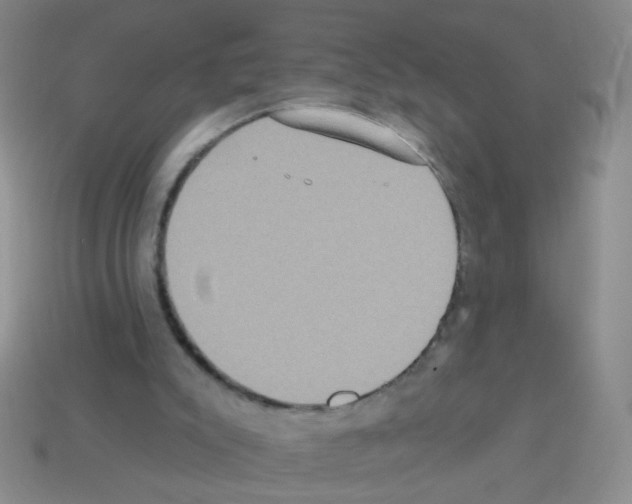 X0000113230007200910221049