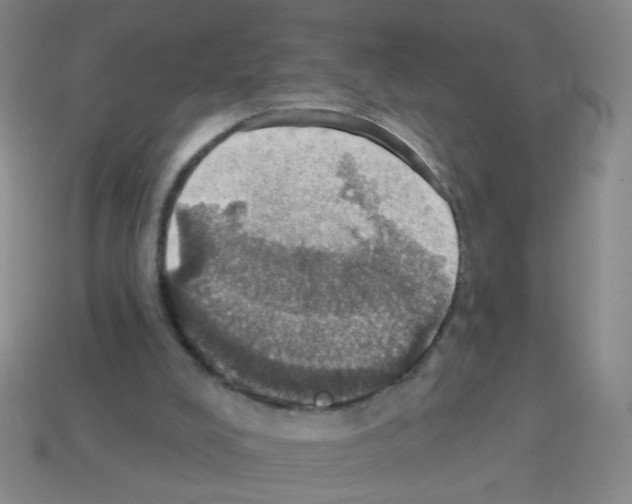 X0000113230008200910221049