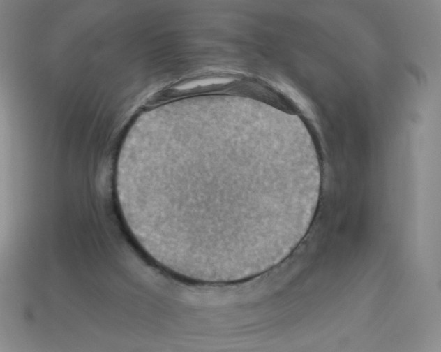 X0000113230009200910221049