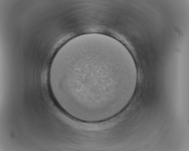 X0000113230010200910221049