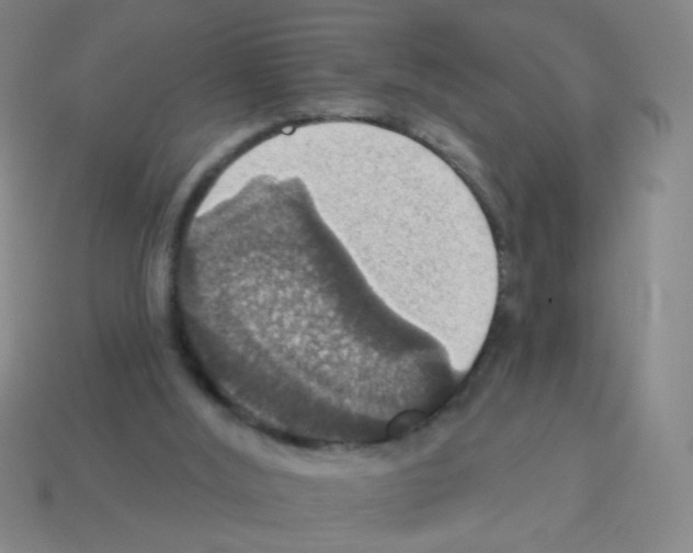 X0000113230012200910221049