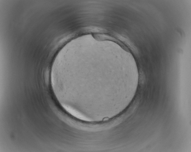 X0000113230014200910221049