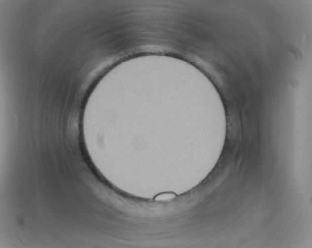 X0000113230015200910221049