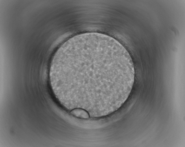 X0000113230016200910221049