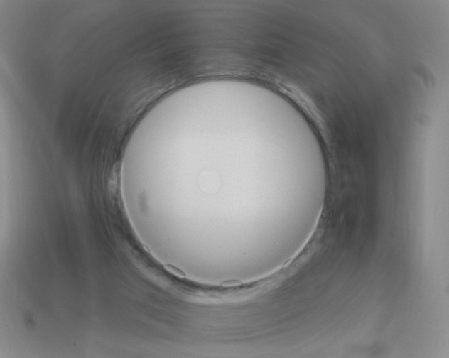 X0000113230017200910221049