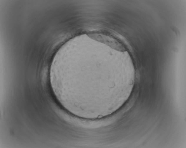 X0000113230018200910221049