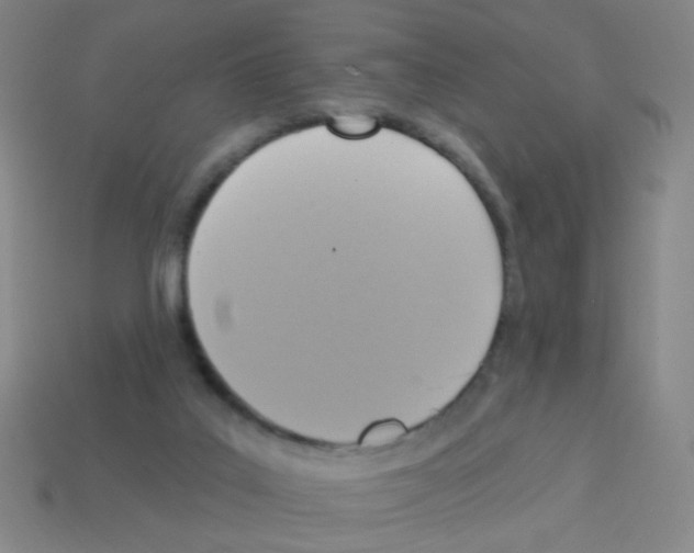 X0000113230019200910221049