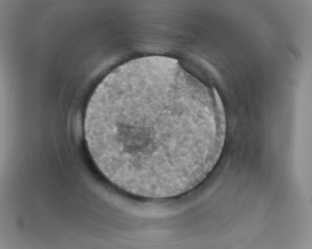 X0000113230020200910221049